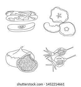 Isolated object of food and raw logo. Collection of food and nature stock vector illustration.