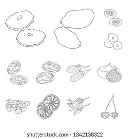 Isolated object of food  and raw  sign. Set of food  and nature  stock vector illustration.