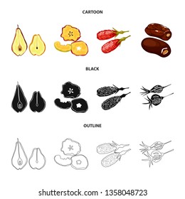 Isolated object of food  and raw  sign. Set of food  and nature   stock vector illustration.