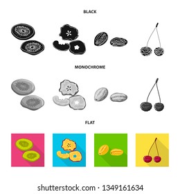 Isolated object of food  and raw  symbol. Set of food  and nature   vector icon for stock.
