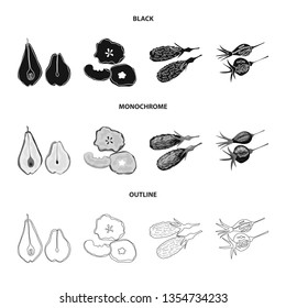 Isolated object of food  and raw  symbol. Collection of food  and nature   stock vector illustration.