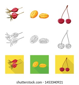 Isolated object of food and raw symbol. Collection of food and nature stock symbol for web.
