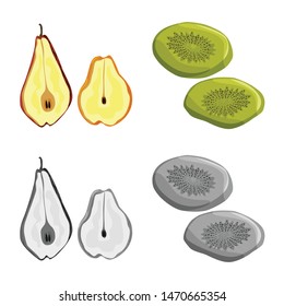 Isolated object of food and raw symbol. Collection of food and nature vector icon for stock.