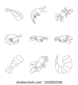 Isolated object of food  and sea icon. Collection of food  and animal  vector icon for stock.