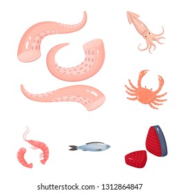 Isolated object of food and sea logo. Set of food and healthy vector icon for stock.