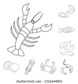 Isolated object of food and sea logo. Set of food and healthy stock vector illustration.