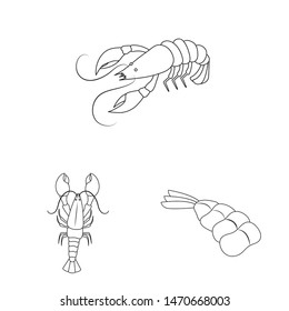 Isolated object of food and sea logo. Set of food and animal vector icon for stock.