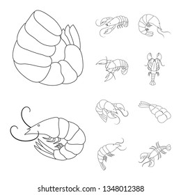 Isolated object of food  and sea sign. Collection of food  and animal  vector icon for stock.