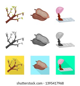 Isolated object of food and yummy icon. Collection of food and brown   stock vector illustration.