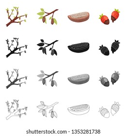 Isolated object of food and yummy logo. Collection of food and brown   stock vector illustration.