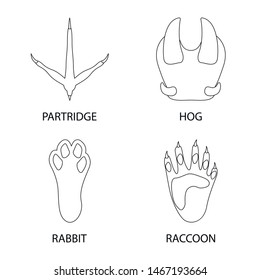 Isolated object of foot and footprint icon. Collection of foot and trace vector icon for stock.