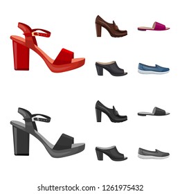 Isolated object of footwear and woman icon. Collection of footwear and foot vector icon for stock.