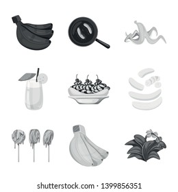 Isolated object of fresh and diet icon. Collection of fresh and vegetarian stock symbol for web.