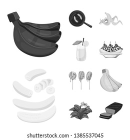 Isolated object of fresh and diet symbol. Set of fresh and vegetarian stock symbol for web.