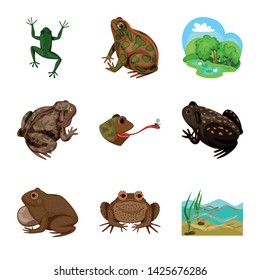 Isolated object of frog and anuran logo. Collection of frog and animal stock vector illustration.