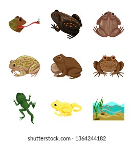 Isolated object of frog and anuran sign. Set of frog and animal stock symbol for web.