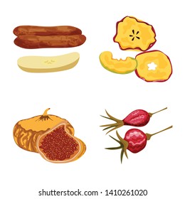 Isolated object of fruit and dried  icon. Set of fruit and food  vector icon for stock.