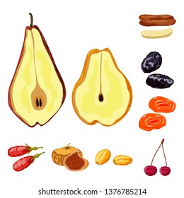 Isolated object of fruit and dried  logo. Collection of fruit and food  vector icon for stock.