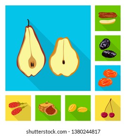 Isolated object of fruit and dried  logo. Collection of fruit and food  vector icon for stock.