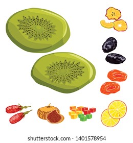 Isolated object of fruit and dried  sign. Set of fruit and food  stock vector illustration.