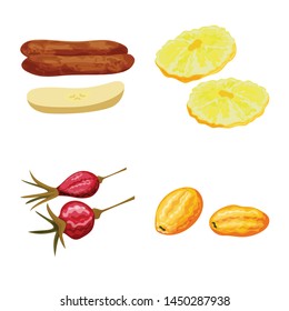 Isolated object of fruit and dried sign. Collection of fruit and food stock symbol for web.