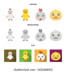 Isolated object of funny and poultry logo. Set of funny and farming stock vector illustration.