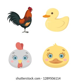 Isolated object of funny and poultry sign. Set of funny and farming vector icon for stock.