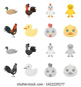 Isolated object of funny and poultry sign. Collection of funny and farming stock vector illustration.