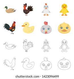 Isolated object of funny and poultry sign. Set of funny and farming vector icon for stock.