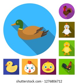 Isolated object of funny and poultry symbol. Collection of funny and farming stock symbol for web.