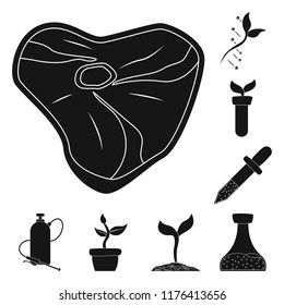 Isolated object of genetic and plant icon. Collection of genetic and biotechnology stock symbol for web.