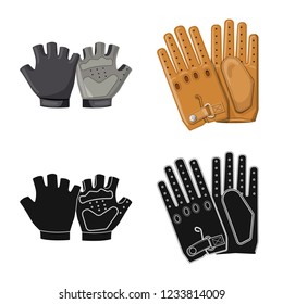Isolated object of glove and winter symbol. Collection of glove and equipment vector icon for stock.