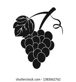 Isolated object of grape and bunch icon. Set of grape and fruit stock vector illustration.