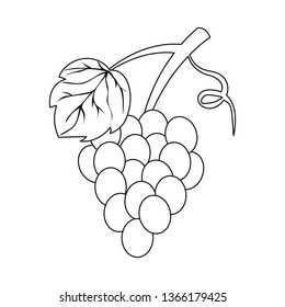 Isolated object of grape and bunch symbol. Set of grape and fruit vector icon for stock.