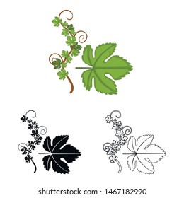 Isolated object of grape leaf icon. Set of grape and texture vector icon for stock.