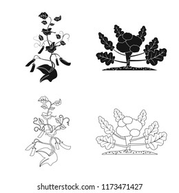 Isolated object of greenhous and plant icon. Collection of greenhous and garden stock vector illustration.