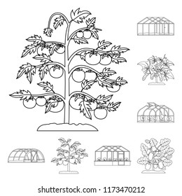 Isolated object of greenhous and plant logo. Collection of greenhous and garden stock vector illustration.