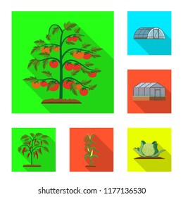 Isolated object of greenhous and plant logo. Set of greenhous and garden vector icon for stock.