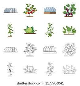 Isolated object of greenhous and plant sign. Collection of greenhous and garden vector icon for stock.