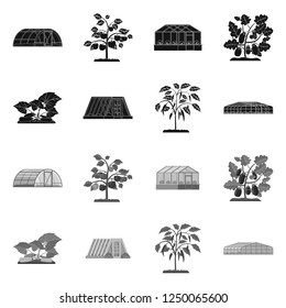 Isolated object of greenhouse and plant icon. Collection of greenhouse and garden vector illustration.