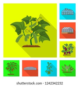 Isolated object of greenhouse and plant logo. Set of greenhouse and garden vector icon for stock.