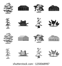 Isolated object of greenhouse and plant logo. Collection of greenhouse and garden symbol for web.