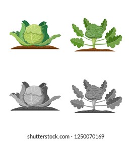 Isolated object of greenhouse and plant logo. Set of greenhouse and garden vector icon.