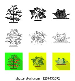Isolated object of greenhouse and plant logo. Set of greenhouse and garden vector icon for stock.