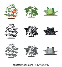 Isolated object of greenhouse and plant logo. Set of greenhouse and garden stock vector illustration.