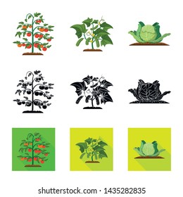 Isolated object of greenhouse and plant logo. Collection of greenhouse and garden stock symbol for web.