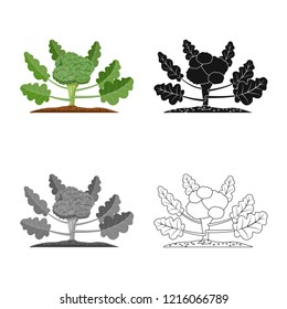 Isolated object of greenhouse and plant sign. Collection of greenhouse and garden stock symbol for web.
