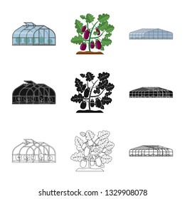 Isolated object of greenhouse and plant sign. Set of greenhouse and garden stock symbol for web.