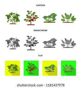 Isolated object of greenhouse and plant symbol. Set of greenhouse and garden stock symbol for web.