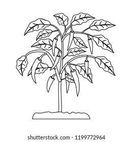 Isolated object of greenhouse and plant symbol. Set of greenhouse and garden stock symbol for web.